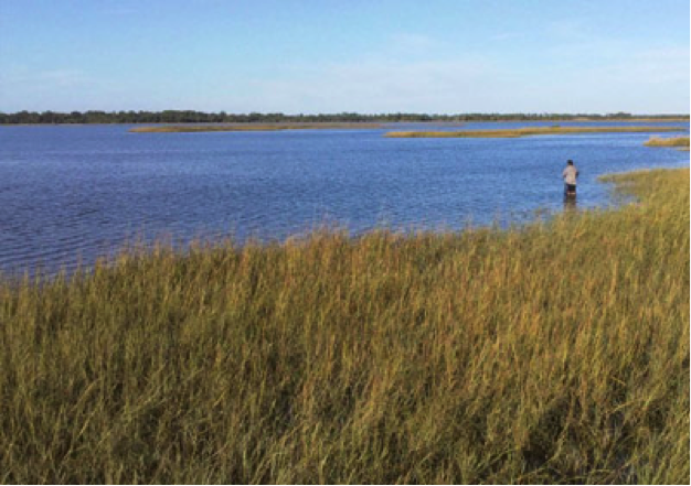 DCP leading way in sea level rise planning