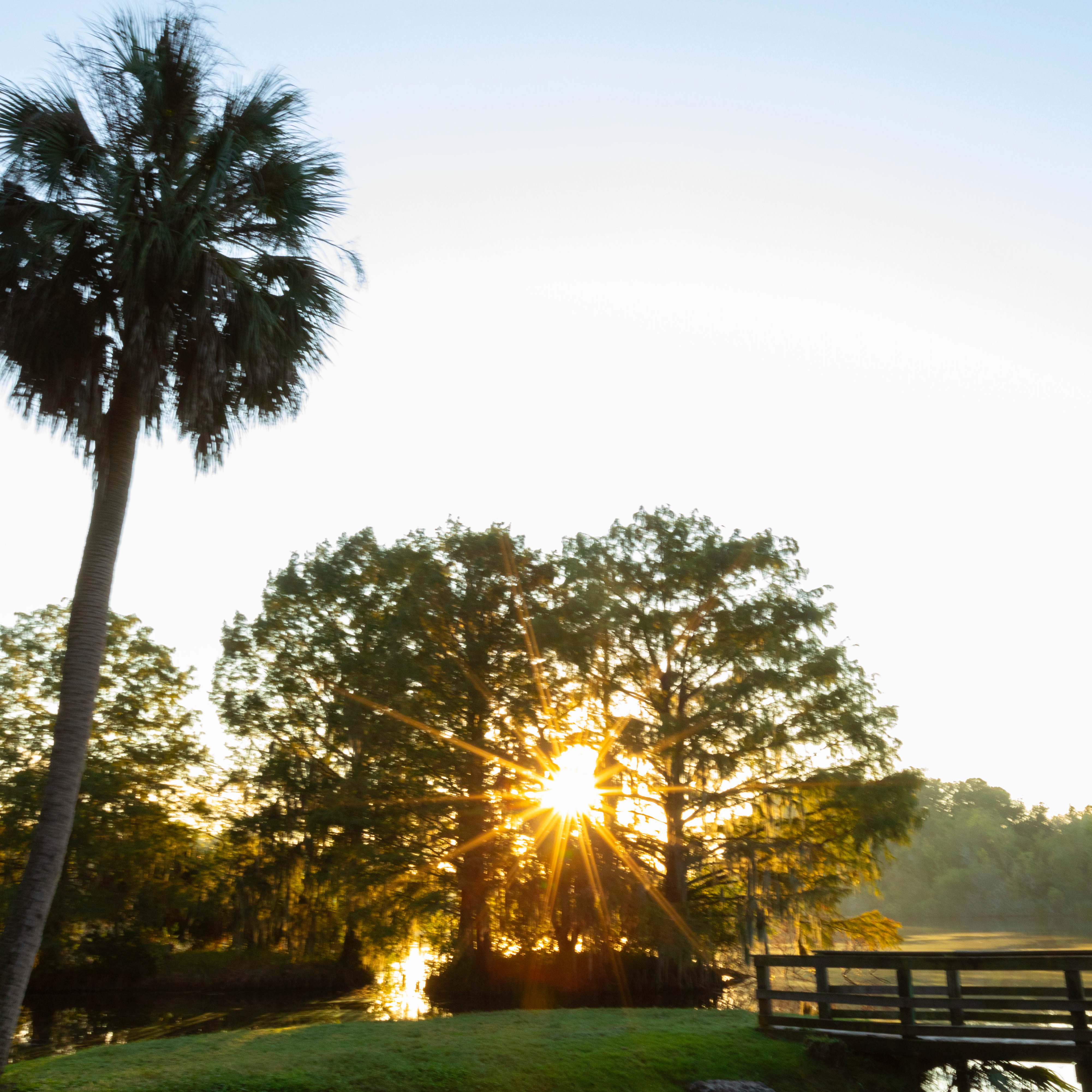 Public Humanities Programs